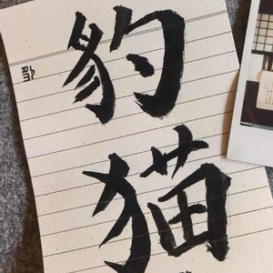 星尘坠入月光里（原创剧本杀《豹豹猫猫》主题曲）