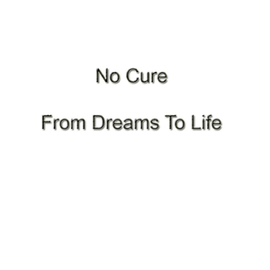 Provoking Dreams