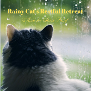 Rain's Cat Retreat Meditation