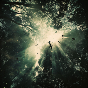 Ascending