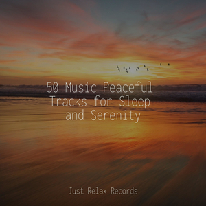 Glittering Seaside Journey