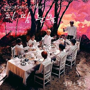피 땀 눈물(血汗泪)（Cover 防弹少年团）