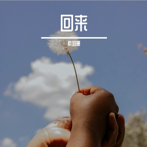 灵魂缺失的拼图