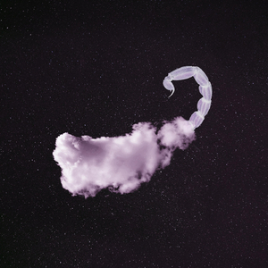 Scorpius
