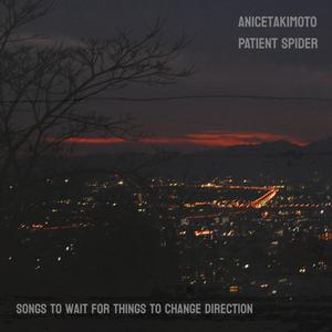 Slow Burn Into Non-Completion (feat. Patient Spider)