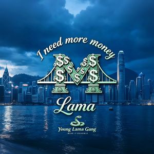 I NEED 更多的 MONEY