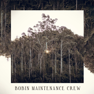 Double Kickflip McTwist (Live)