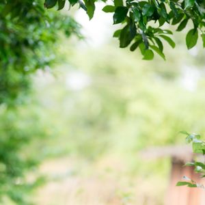 心儿亮晶晶 伴奏