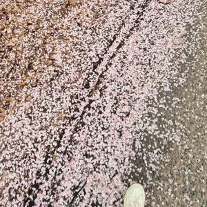 夜明けの風