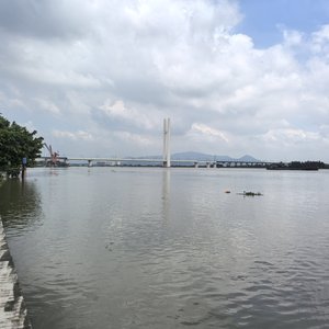 我想和你去大草原