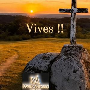 ViVes