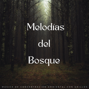 Música Del Paisaje Mental Del Bosque