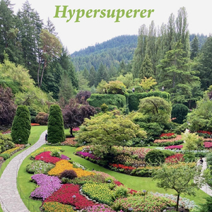 The Young Navigator (Taylor Galford remix)