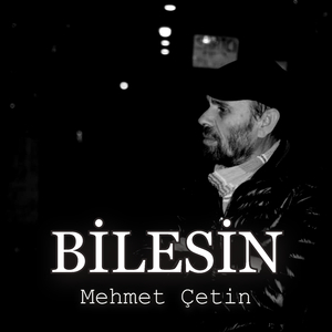 Bilesin