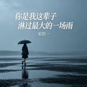 你是我这辈子淋过最大的一场雨