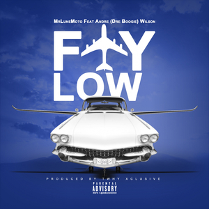 Fly Low
