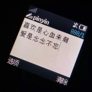 耀温柔-請 把 我 葬 在 桜 の木の下での（耀温柔 remix）