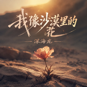 我像沙漠里的花