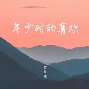 年少时的喜欢 (0.9x)