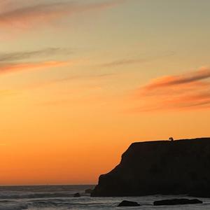 Lonely(Say You Love Me)