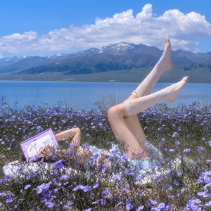 比奇堡山上没有花