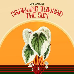 Ice Melting Through Trees