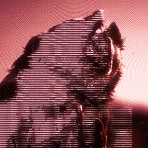distruggimi