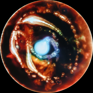 Aprovecha El Momento