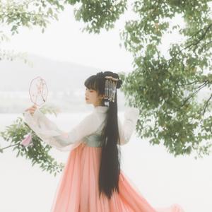 古筝版—美丽的神话