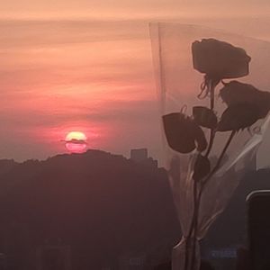 茉莉