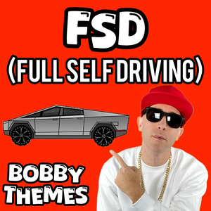 Fsd (Full Self Driving)