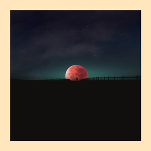 Tænker Lidt På dig