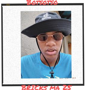 Botsotso