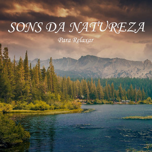 Sons da Natureza para Relaxar, Pt. 30