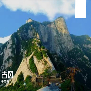 《月下寄长安》