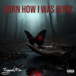 Born How I Was Born
