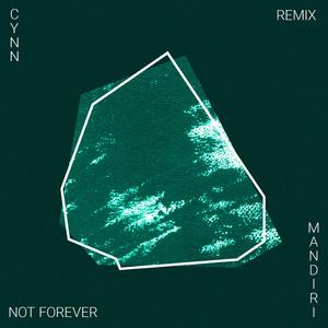 Not Forever (Mandiri Remix)