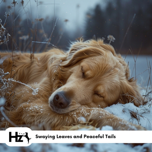 639 Hz While You Are Gone