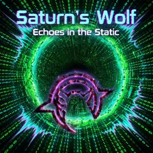 Echoes in the Static