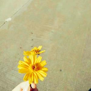 亲爱的，我们究竟怎么了(变声侗语版)