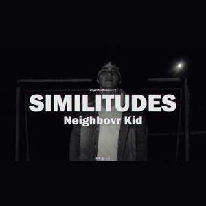 Similitudes