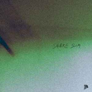 SHAKE SUM
