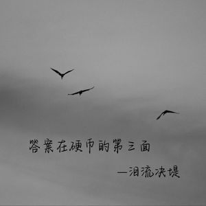 风来自很远的地方 去看看也无妨