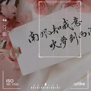 桃花朵朵开（治愈男版）