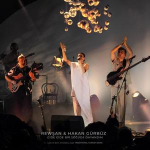Gide Gide Bir Söğüde Dayandım