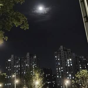 谪仙怨·月明何处吹箫