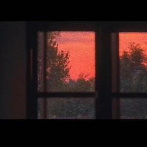 缓缓飘落的枫叶像思念