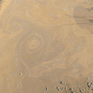 我站在沼泽边(prod.by Morrow)