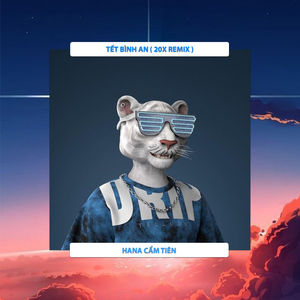 Tết Bình An (20X Remix)