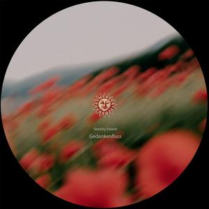 Gedankenfluss